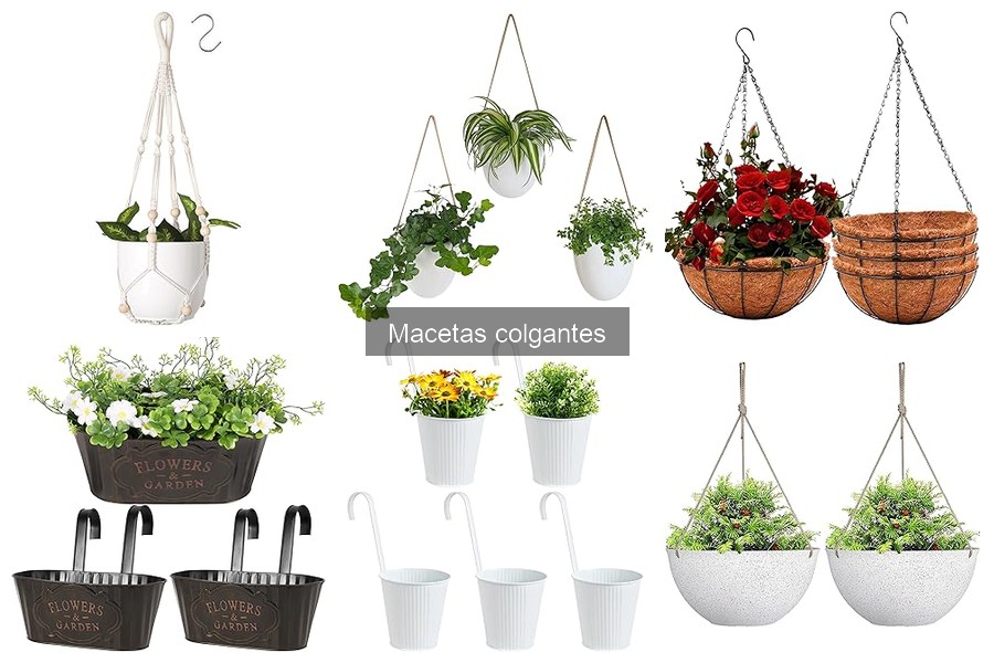 Cómo Crear un Jardín Vertical con Macetas Colgantes