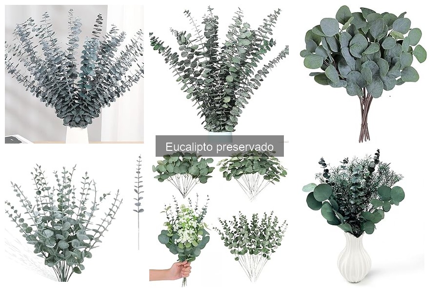 Cómo cuidar el eucalipto preservado: Guía práctica