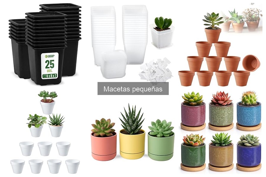 Cómo cuidar macetas pequeñas: Guía práctica para mantenerlas