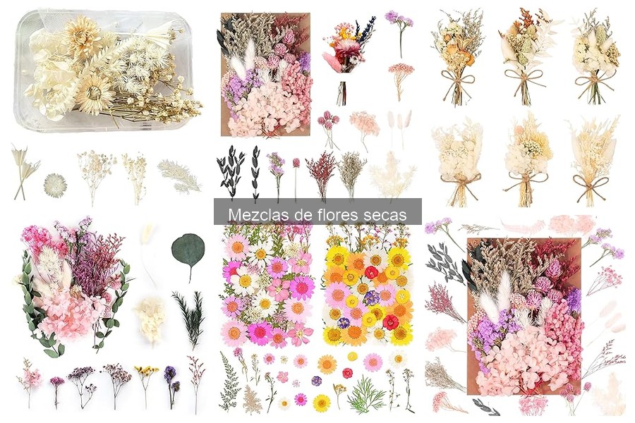 Cómo cuidar mezclas de flores secas para un hogar hermoso