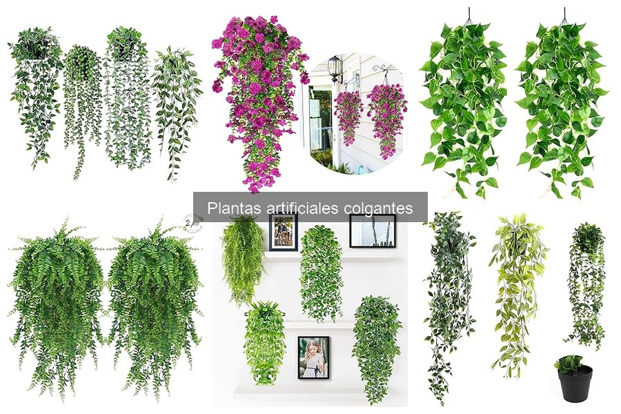 Cómo cuidar tus plantas artificiales colgantes correctamente