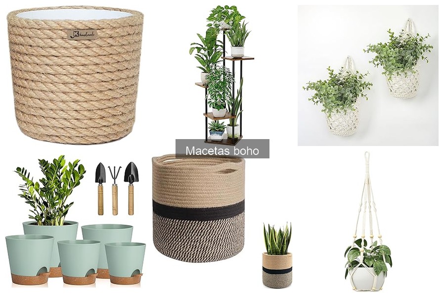 Cómo cuidar y mantener macetas boho en tu hogar