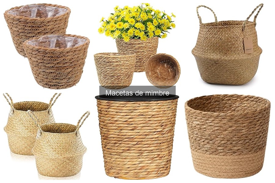 Cómo cuidar y mantener macetas de mimbre fácilmente
