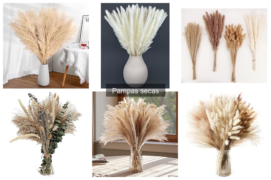 Cómo cuidar y mantener pampas secas: consejos prácticos