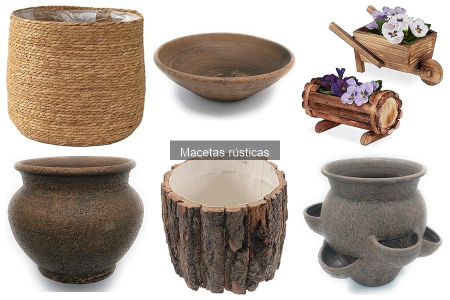 Cómo Decorar con Macetas Rústicas: Ideas y Consejos