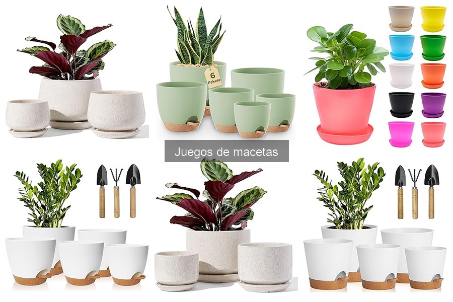 Cómo elegir el juego de macetas perfecto para tu hogar