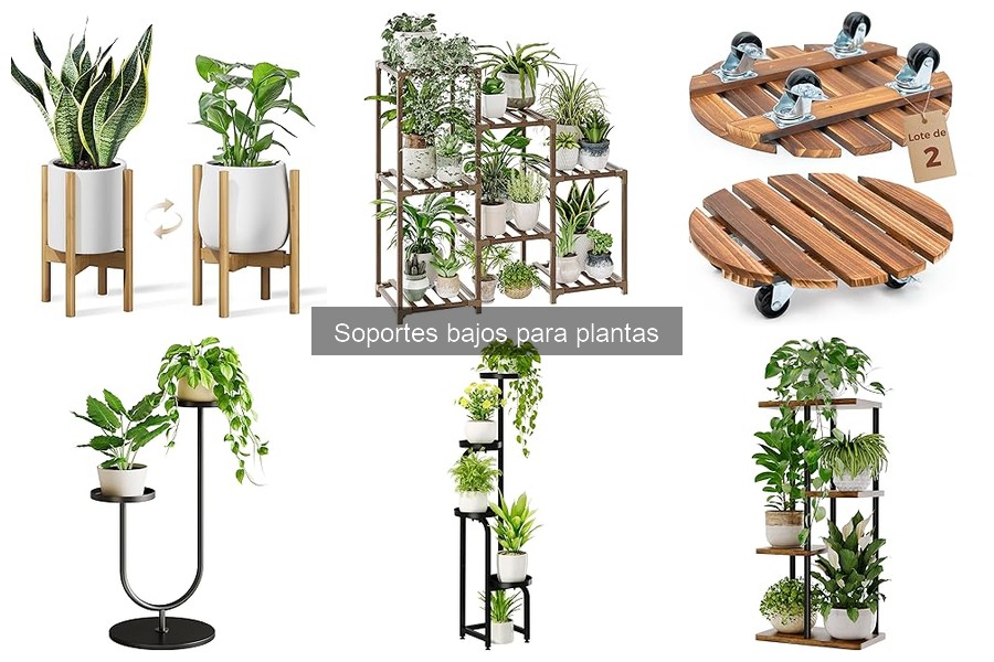 Cómo elegir el soporte bajo ideal para tus plantas
