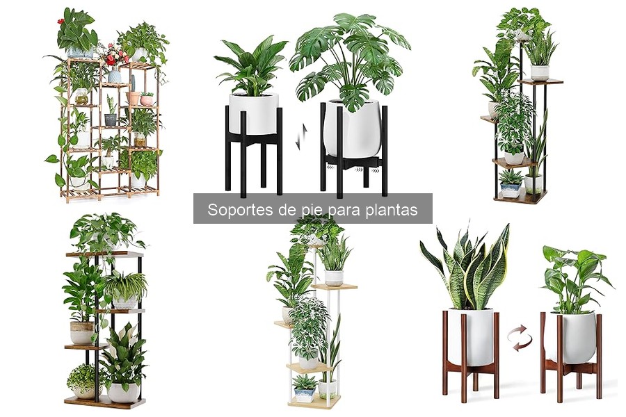 Cómo elegir el soporte de pie perfecto para tus plantas