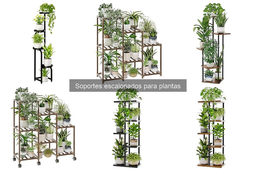 Cómo elegir el soporte escalonado ideal para tus plantas