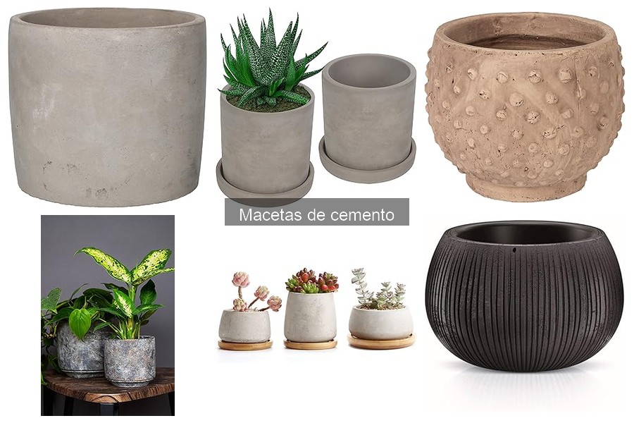 Cómo elegir la maceta de cemento perfecta para tus plantas