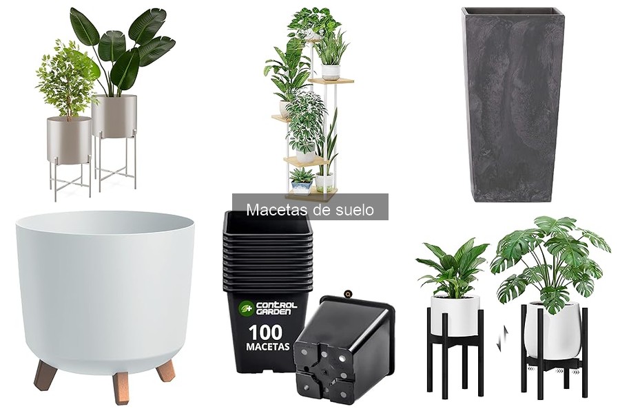 Cómo elegir la maceta de suelo ideal para tus plantas