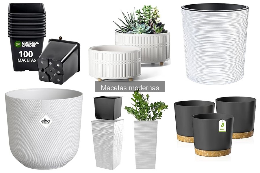 ¿Cómo elegir la maceta moderna perfecta para tus plantas?