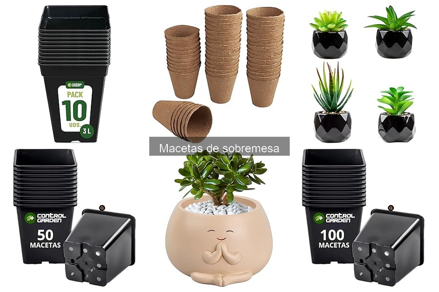 Cómo elegir la mejor maceta de sobremesa para tus plantas