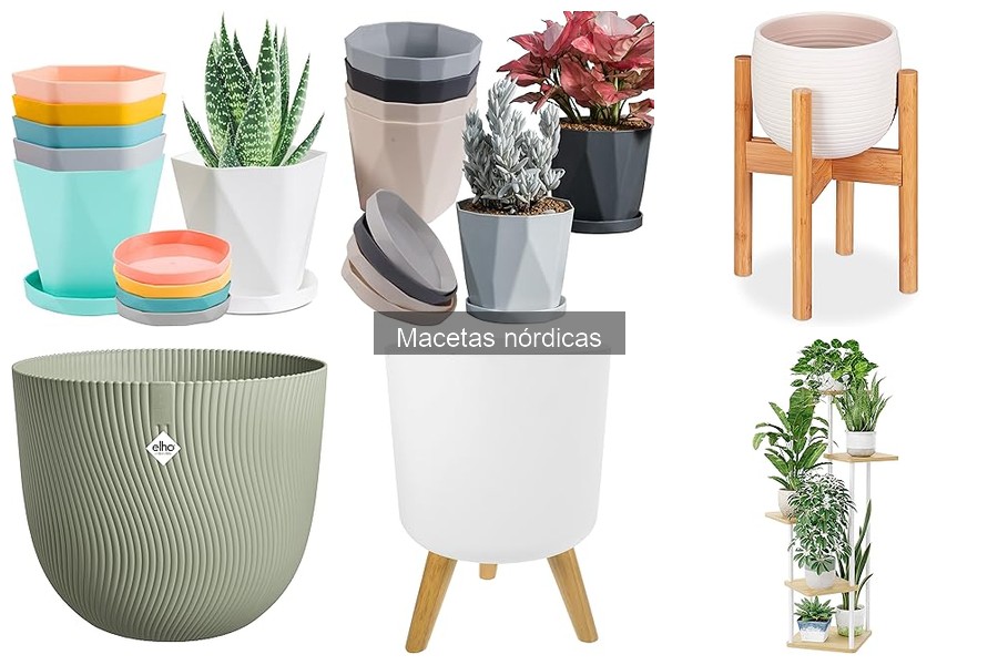 Cómo Elegir Macetas Nórdicas para Tus Plantas