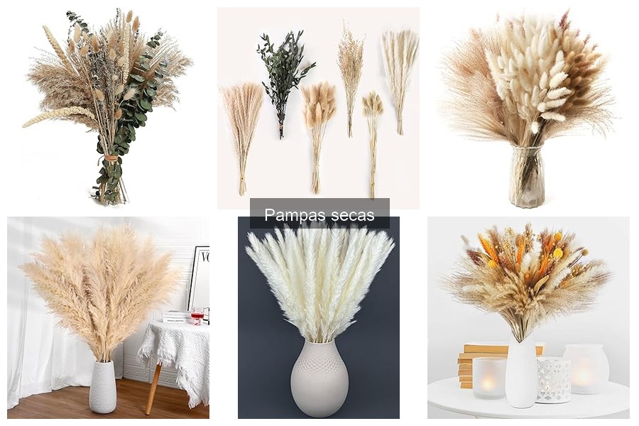 Cómo elegir pampas secas para decorar tu hogar
