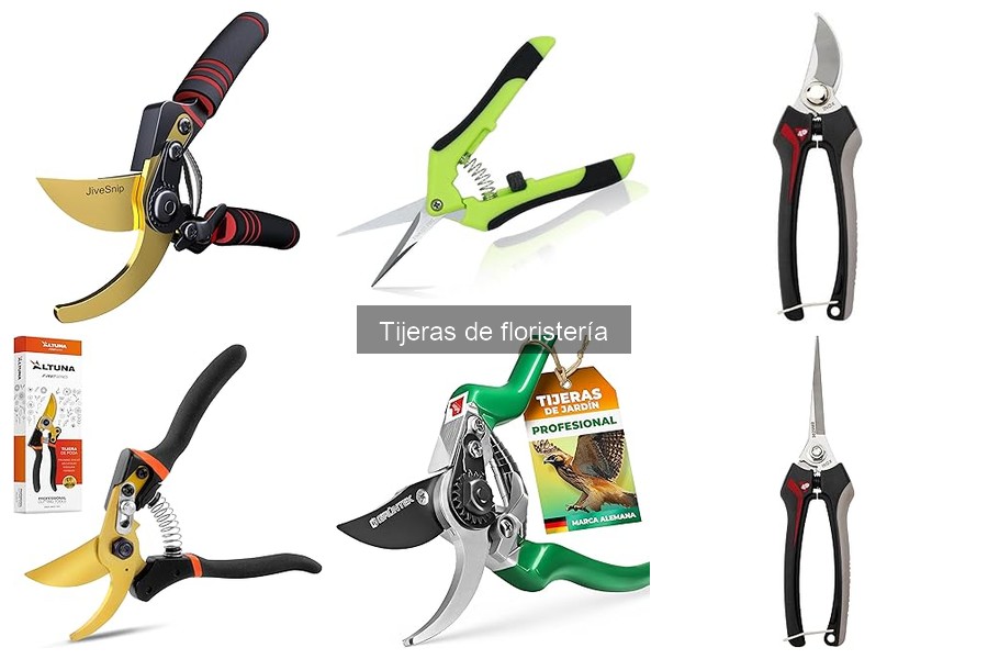 Cómo elegir tijeras de floristería adecuadas: guía completa