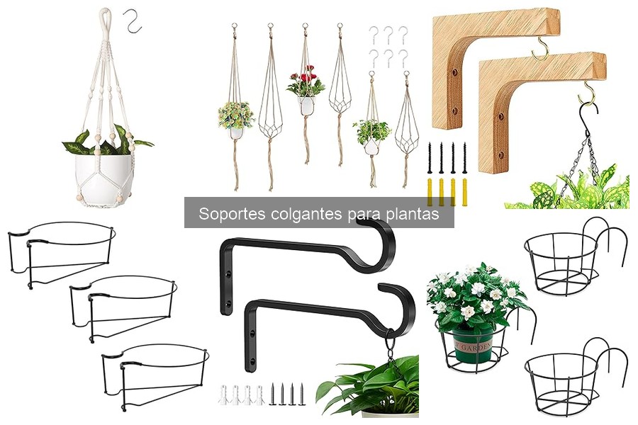 Cómo Instalar Soportes Colgantes para Plantas Fácilmente