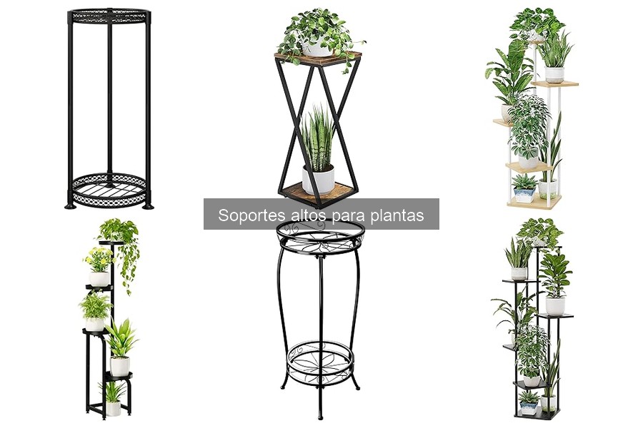 Cómo instalar un soporte alto para plantas fácilmente
