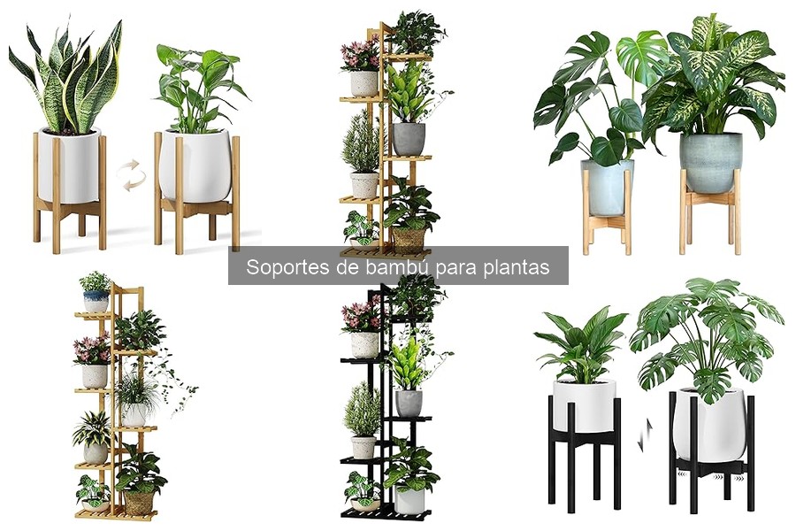 Cómo instalar un soporte de bambú para plantas fácilmente