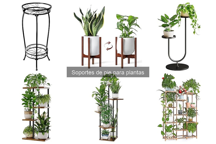 Cómo instalar un soporte de pie para plantas fácilmente