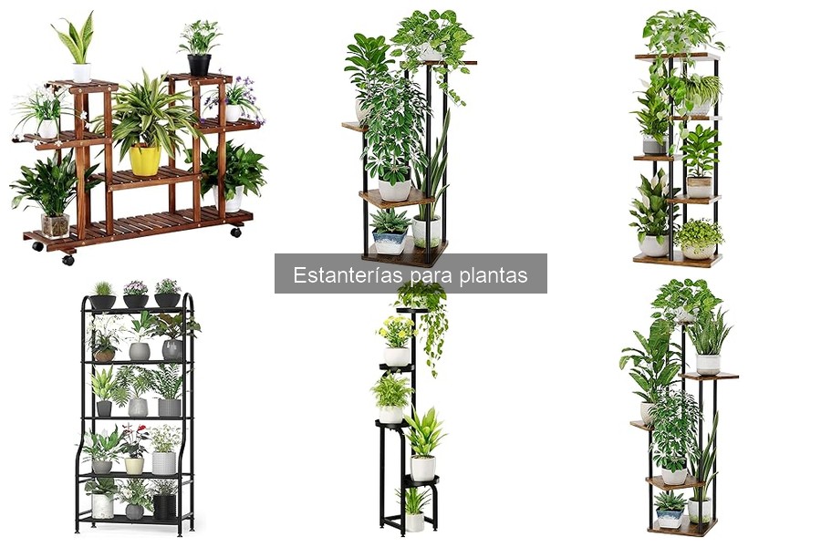 Cómo instalar una estantería para plantas fácilmente
