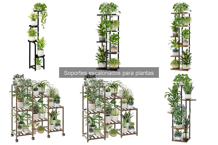 Cómo mantener los soportes escalonados para plantas en casa