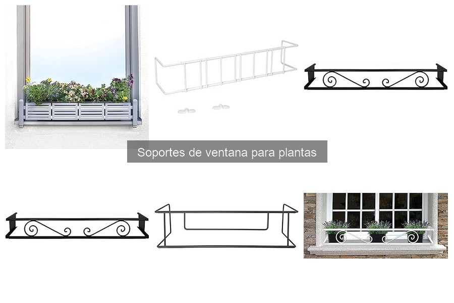 Cómo mantener plantas en soportes de ventana fácilmente