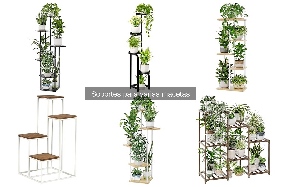 ** Cómo mantener tus soportes para varias macetas en buen estado