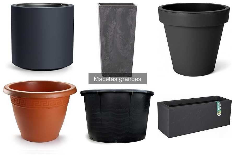Cómo mantener y cuidar macetas grandes en casa