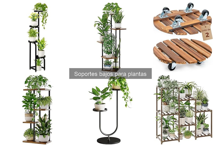 Cómo Montar un Soporte Bajo para Plantas en Casa