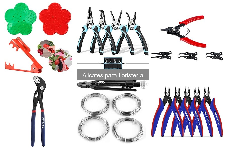 Comparativa: Alicates para Floristería vs. Tijeras de Podar