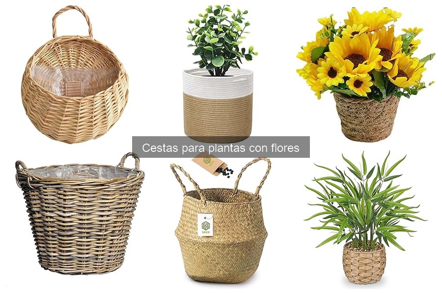 Comparativa: Cestas de Jute vs. Cestas de Plástico para Plantas
