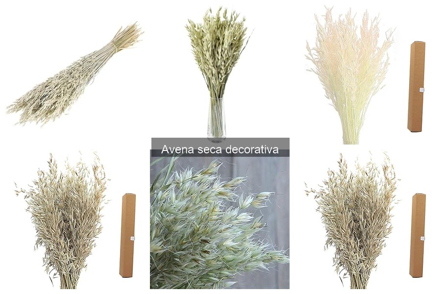 Comparativa de Avena Seca Decorativa vs. Otros Materiales