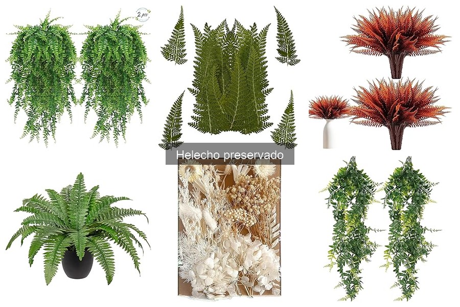 Comparativa de Helechos Preservados vs. Otras Decoraciones Florales
