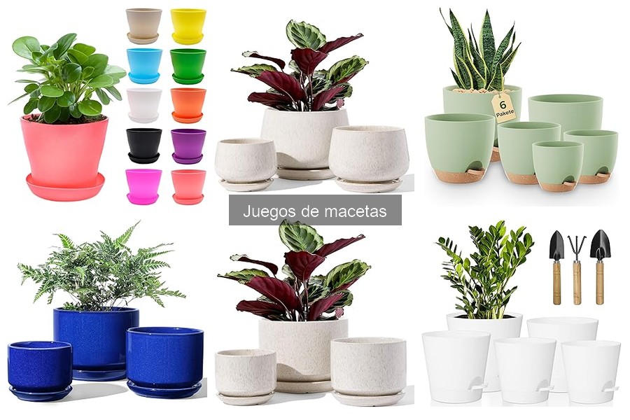 Comparativa de Macetas: Plástico vs Cerámica