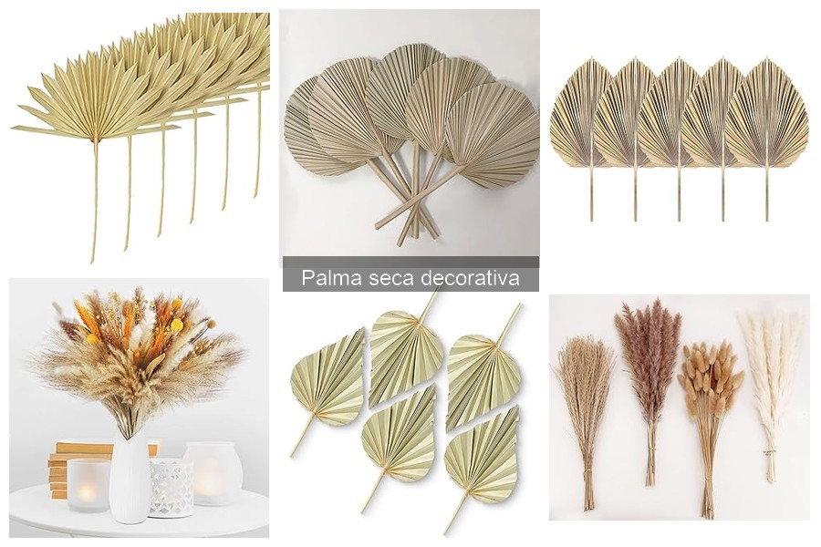 Comparativa de Marcas de Palmas Secas Decorativas