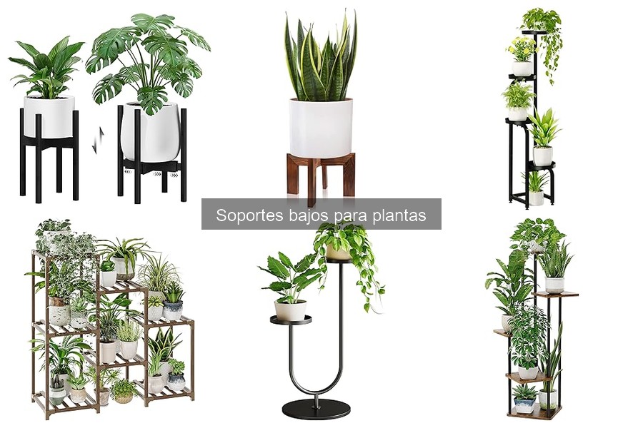 Comparativa de materiales en soportes bajos para plantas