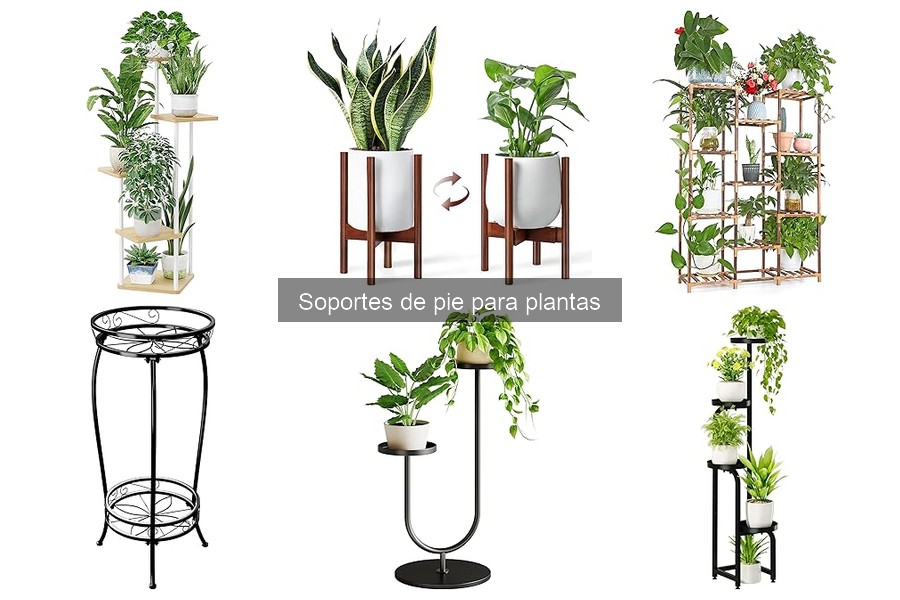 Comparativa de Soportes de Pie para Plantas: Materiales y Más