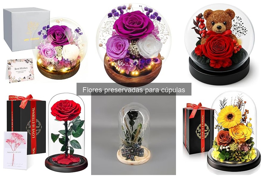 Comparativa: Flores Vivas vs Flores Preservadas en Decoración