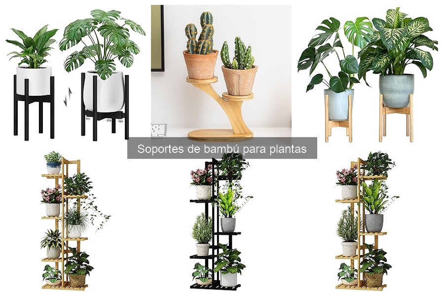 Comparativa: Soportes de bambú vs. plástico para plantas