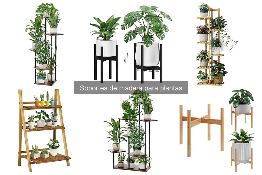 Comparativa: Soportes de Madera vs. Metal para Plantas