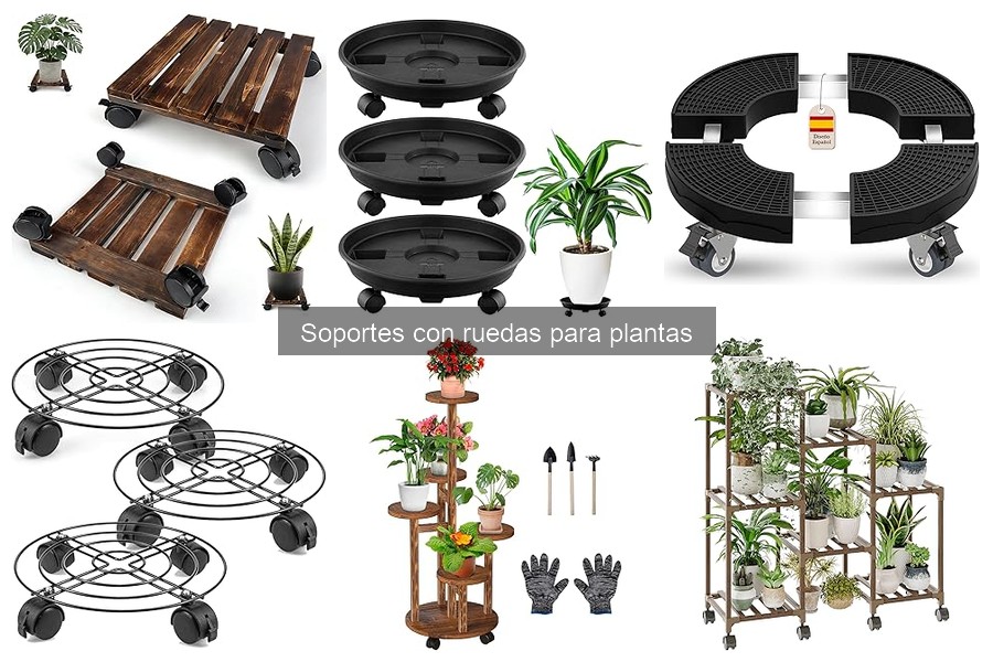 Comparativa: Soportes fijos vs. con ruedas para plantas