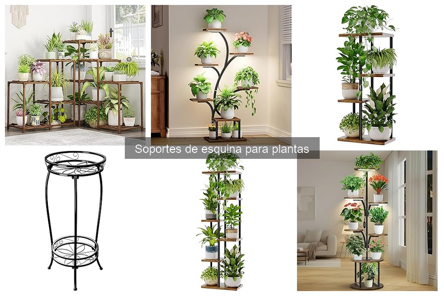 Consejos decorativos con soportes de esquina para plantas