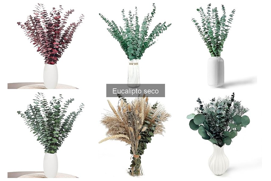 Consejos para Mantener Eucalipto Seco en Decoración