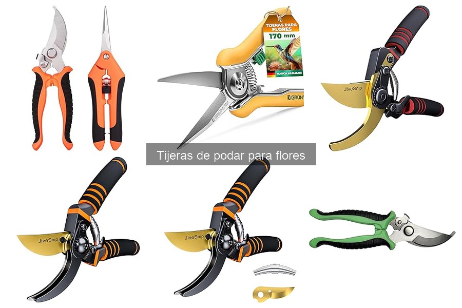 Consejos para Podar Flores Correctamente con Tijeras