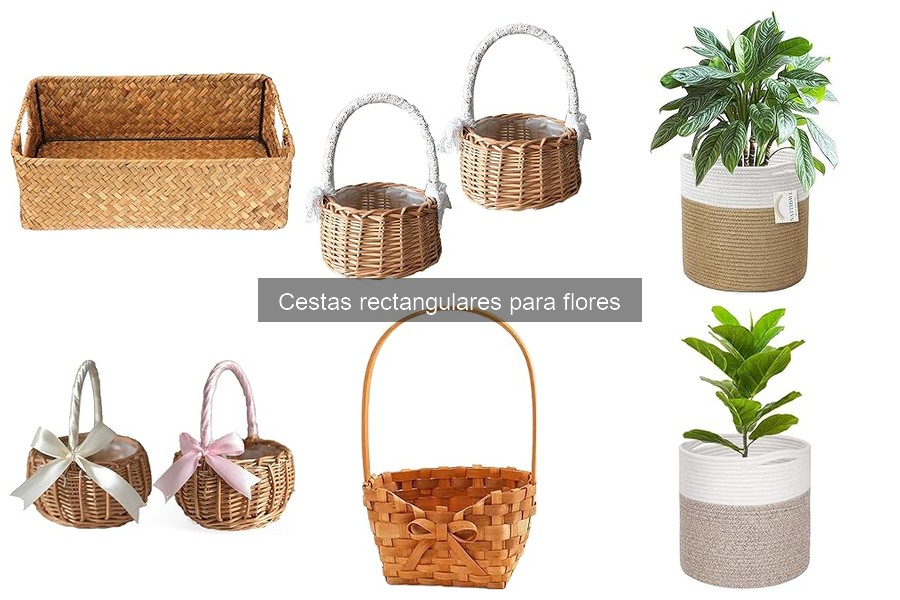 Cuidado y mantenimiento de cestas rectangulares para flores