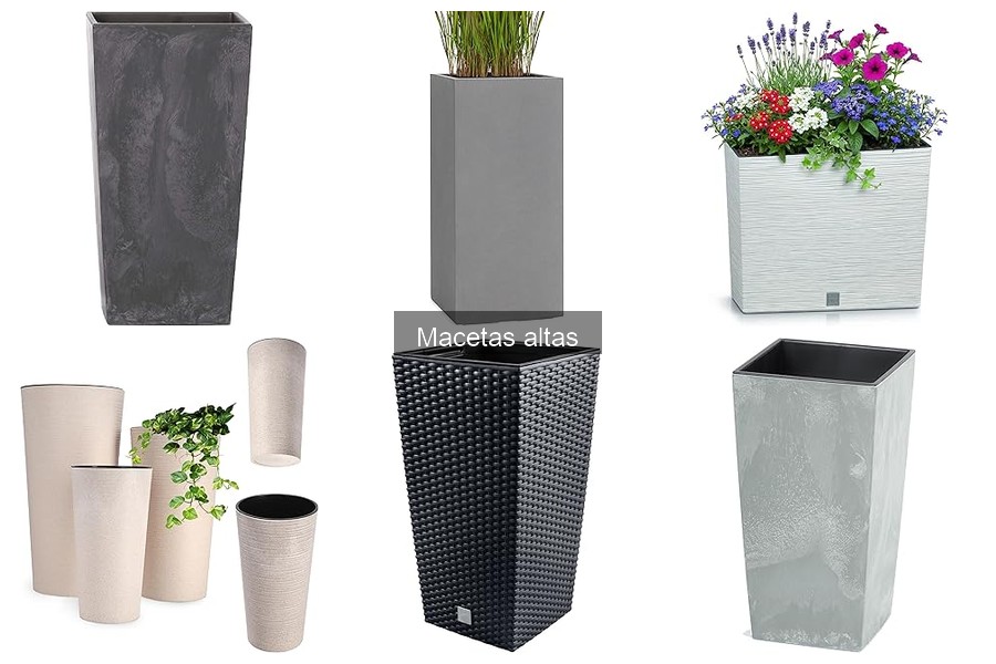 Cuidado y mantenimiento de macetas altas para tus plantas