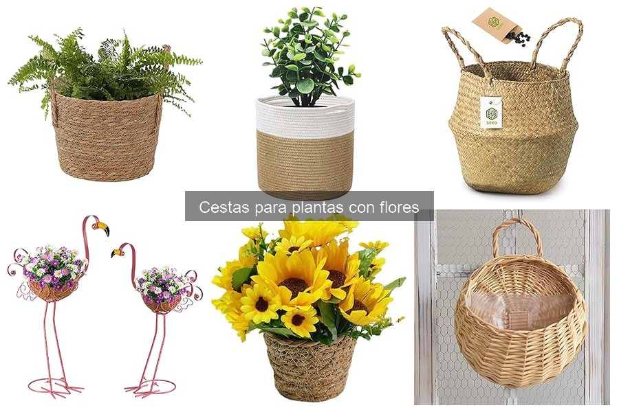 Cuidados esenciales para cestas de plantas con flores