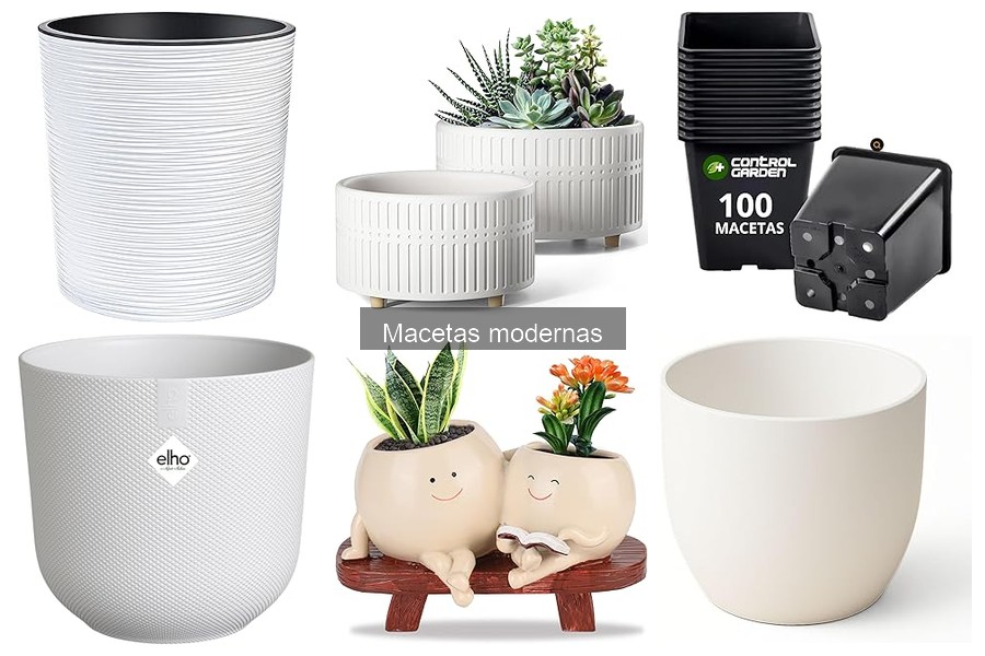 Cuidados Esenciales para Macetas Modernas en Casa