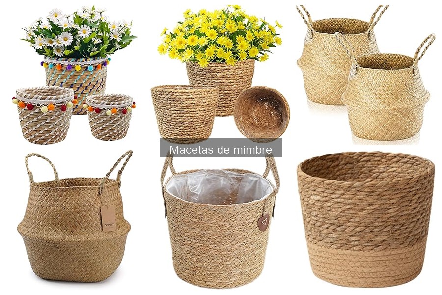 Descubre las Macetas de Mimbre: Características y Usos